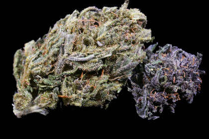 Narnia (NEW STRAIN)