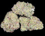 GREEN GUM