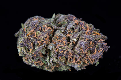 Narnia (NEW STRAIN)
