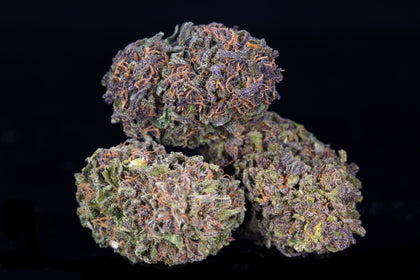 Narnia (NEW STRAIN)